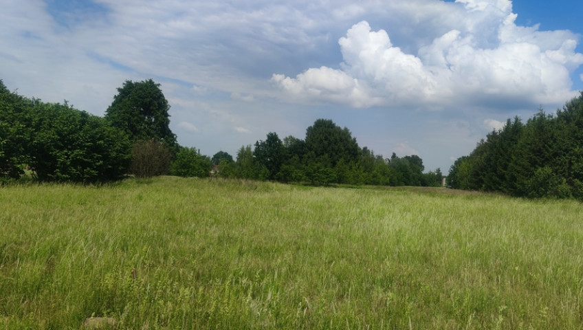 Działka Sprzedaż Borzęcin Mały